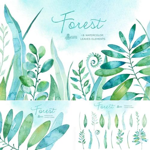 手绘水彩植物绿叶ins风尤加利叶diy手账元素png免抠平面设计素材