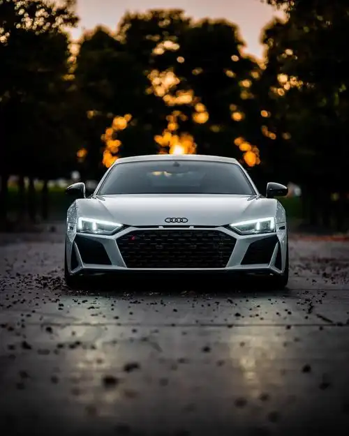 图 奥迪r8的外形科幻帅气感十足,这牌子的车是很多人的梦想之车