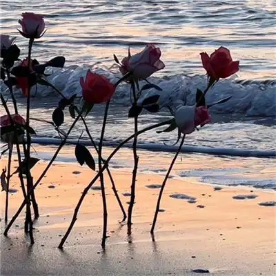 小清新浪漫好看ins风花朵头像图片