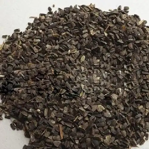 基地批发益母草种子中药材种子益母草种子出芽率高益母蒿 益母艾图片