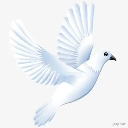 飞翔的白色鸽子png素材透明免抠图片-动植人物