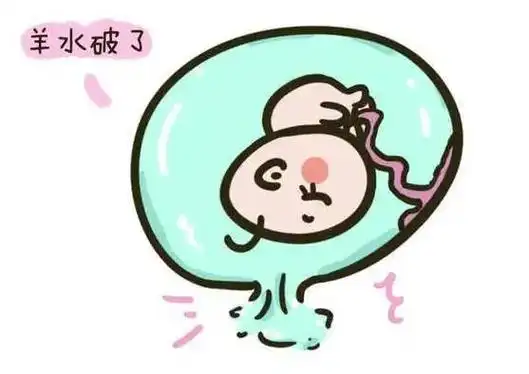 正确处理不慌张|羊水|妊娠|胎头|脐带脱垂|胎儿畸形_网易订阅