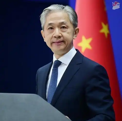 (汪文斌 资料图 图源:外交部网站)