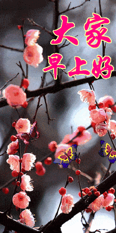 2022新版群发早晨好动态图片带字集锦星期二特漂亮的早安问候图片