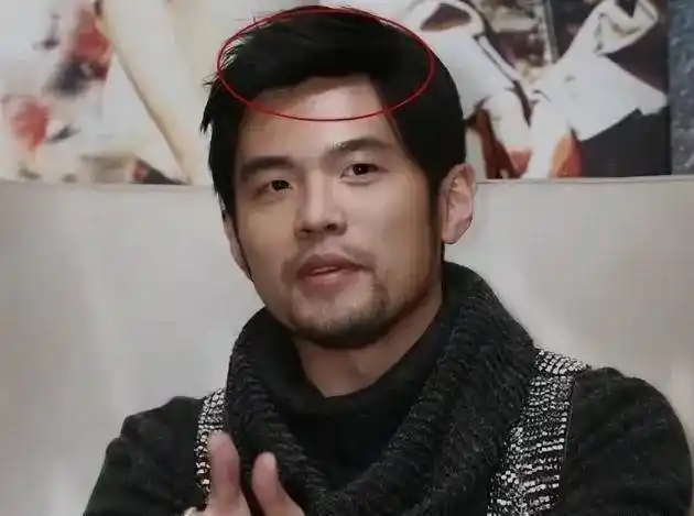 看似帅气难挡,实则早已"秃顶"的6位男星,个个心酸又好笑_吴彦祖_头发