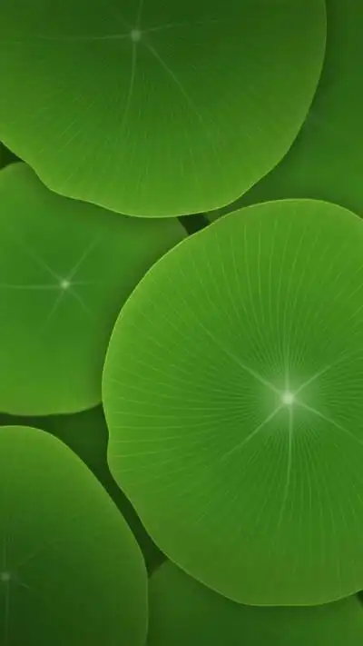 收集   点赞  评论  护眼壁纸,绿色 0 7 紫玫-白  发布到  美丽壁纸