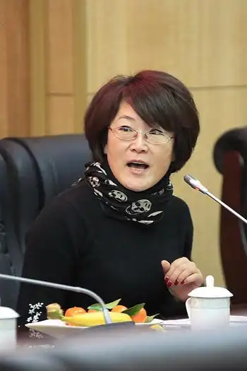 委员庞玉做2012年工作情况汇报民进北京市委员会副主任委员吴文彦发表