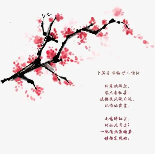 卜算子咏梅伊人情怀