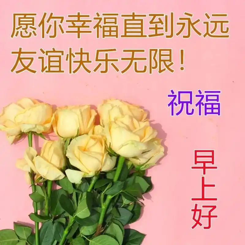 周五最新超级漂亮早上好动态图片 新版早上好漂亮图片大全