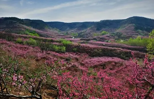 《中国青年报》点赞,闯市场,振乡村,厚民生……这里是临沂!