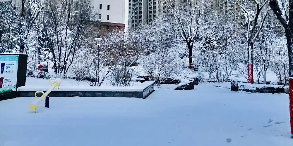 三月一日的雪, 2021.3.1手机随拍院子里的雪景