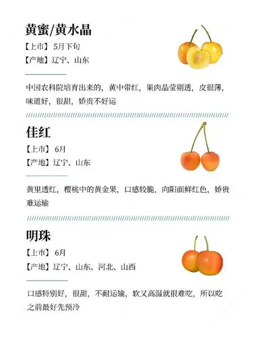 国产车厘子比进口价格低四成##国产车厘子开始大规模