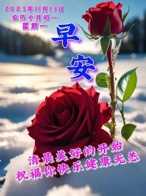 11月13日周三早上好最新版早安祝福语表情图片大全问候语段句子