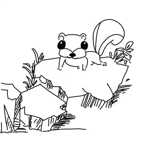 简笔画松鼠