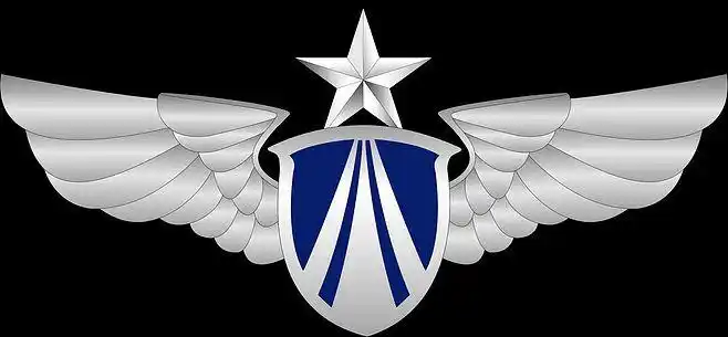 空军胸标矢量图