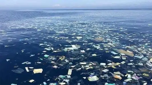 人类对海洋的破坏