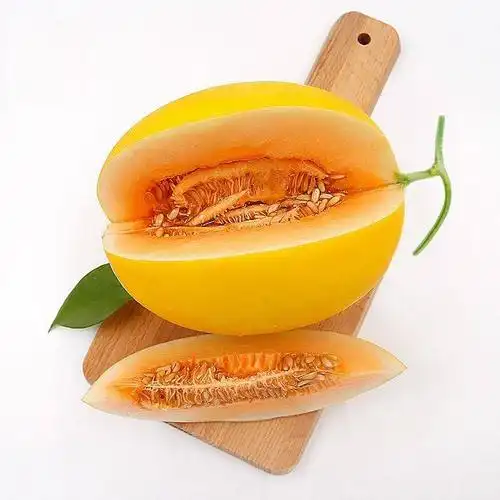 久红瑞甜瓜 山东玖瑞红香瓜新鲜水果头茬现摘发货