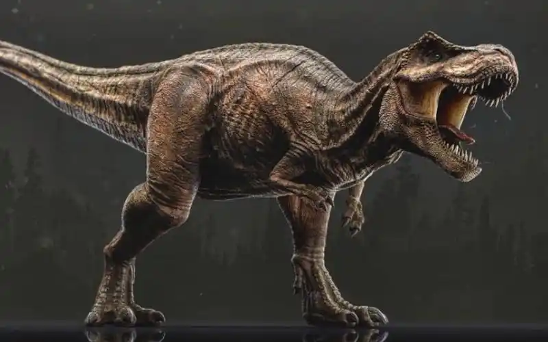 国外粉丝制作霸王龙vs暴虐龙霸王龙一口超龙