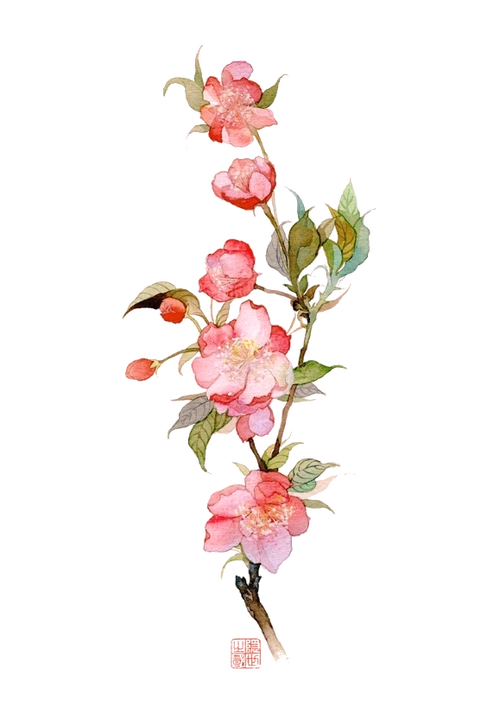 手绘花朵植物素材