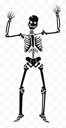 骨架siluet