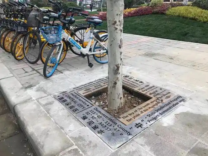 美丽树坑装饰盖亮相郑州街头