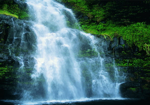 山水,下雨,花鸟,人景动态图片