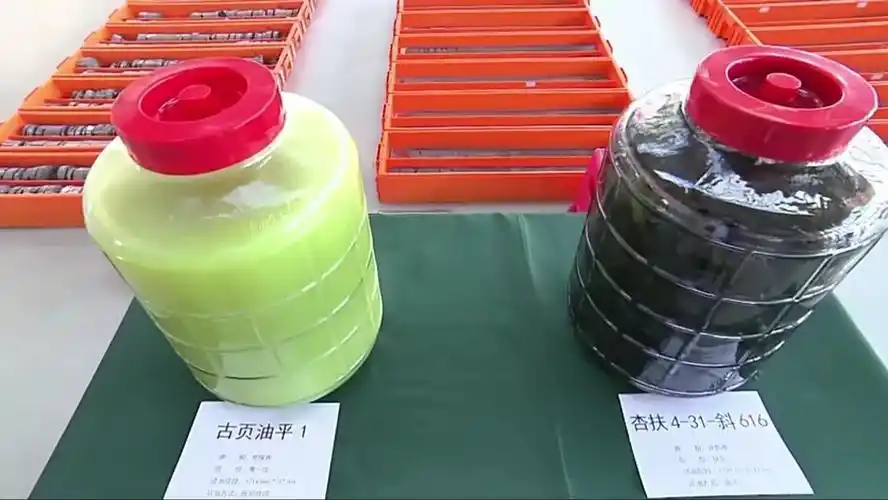 大庆古龙页岩油长啥样?