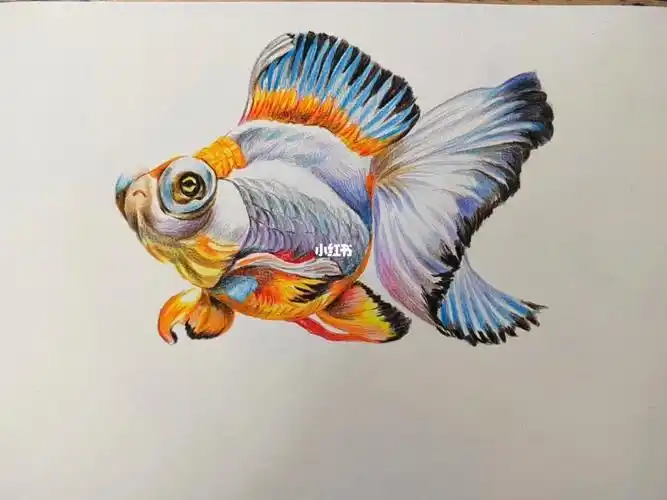 简单易学的彩铅金鱼彩铅入门