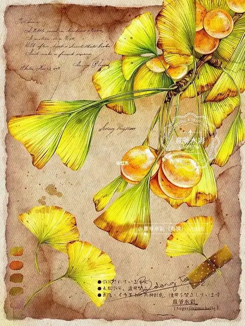 84/100 ipad水彩练习-秋色《银杏》