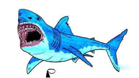 白鲨:教你如何画鲨鱼,凶狠的很