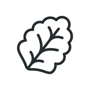 植物象形叶生菜植物扁线笔画图标象形文字照片