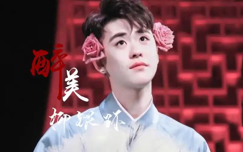 张云雷柳银环环环总是那么美那么风情万种