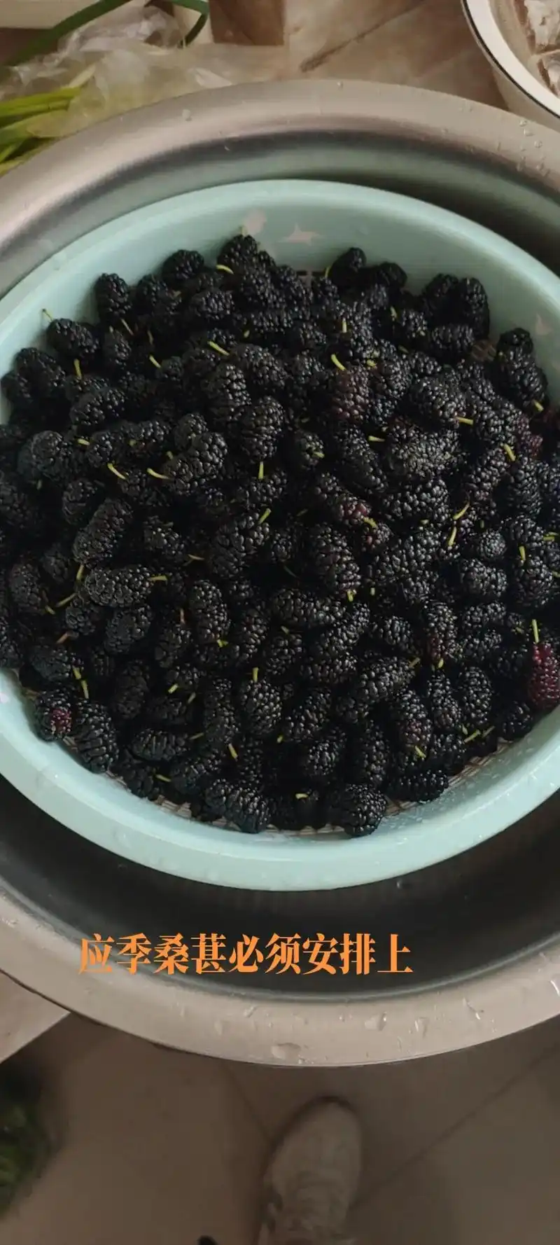 应季桑葚必须安排上11:46桑葚的功效与作用全部视频图片问答 - 抖音
