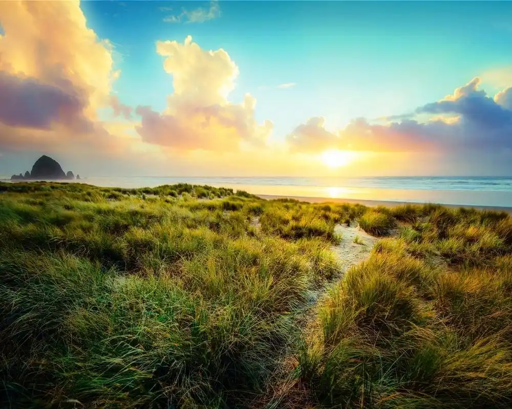 清新早晨唯美日出自然风光美景高清桌面壁纸图片大全