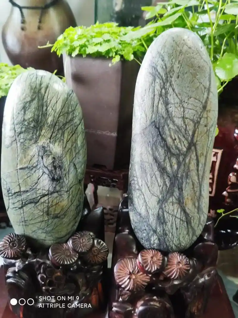 长江石稀奇石种——树枝纹条画面石!##纯天然奇石 #美石分享 - 抖音