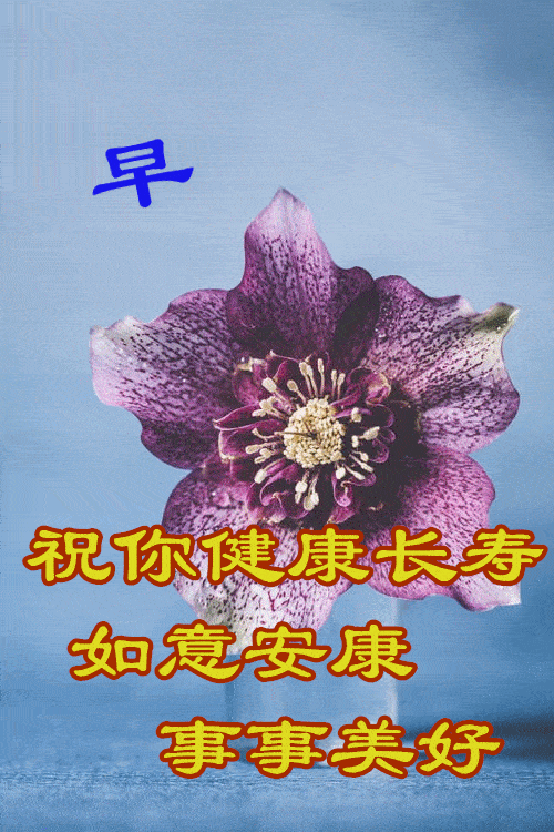 5月10日最漂亮早上好动态表情图片大全早晨好动图美图大全