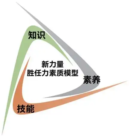 新员工培训|三维"新力量"胜任力模型,小白迅速变标兵