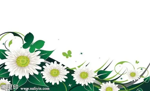 清新简约白底绿叶雏菊鲜花名片-背景素材-图片预览