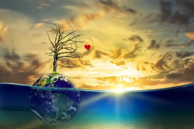 大海里的地球图片,地球,枯树,树木,海洋,大海风景,生态环保,绿色环保