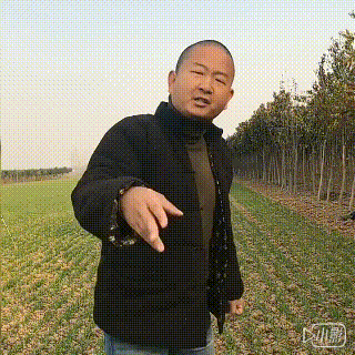 搞笑怼人必备表情包