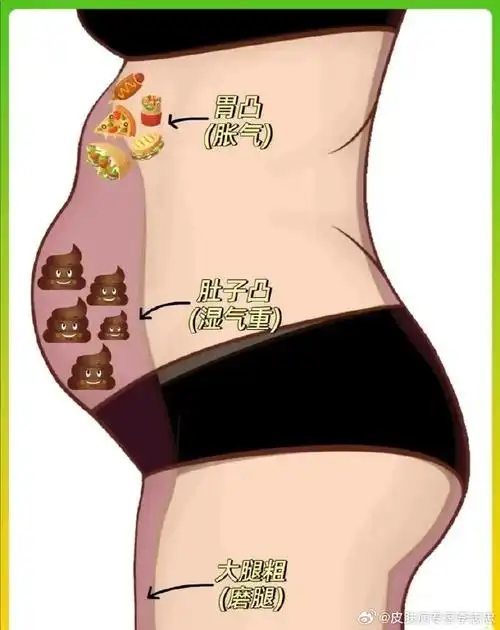 祛湿##脾虚湿盛##湿气重毁身材肚子大