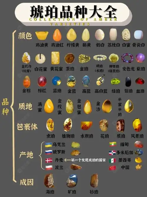 一张图读懂琥珀