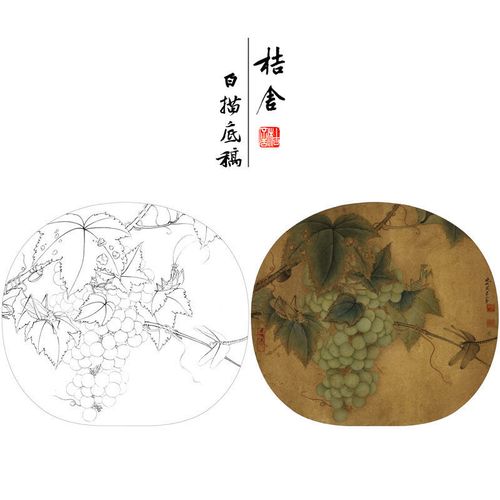 李晓明工笔画白描底稿葡萄草虫图宋画小品带步骤图及教程画稿kc11