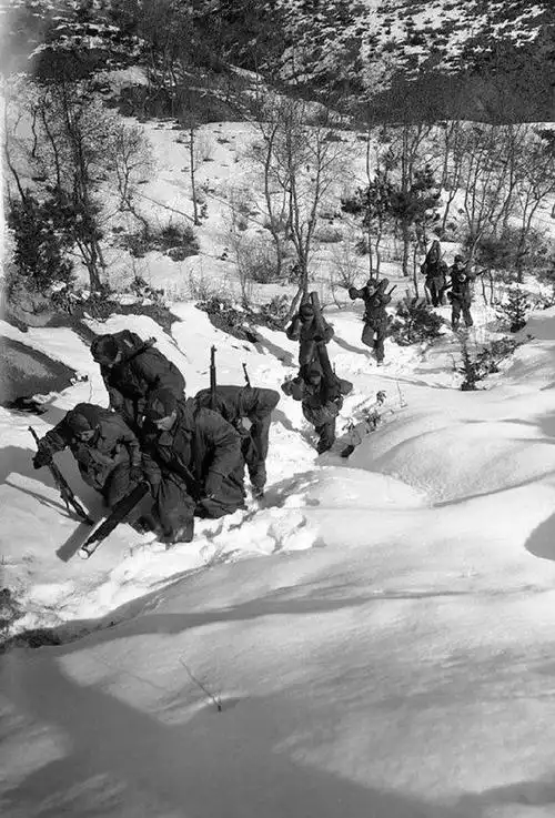 长津湖地区位于朝鲜北部,海拔在1000米至2000米之间,树林茂密,道路