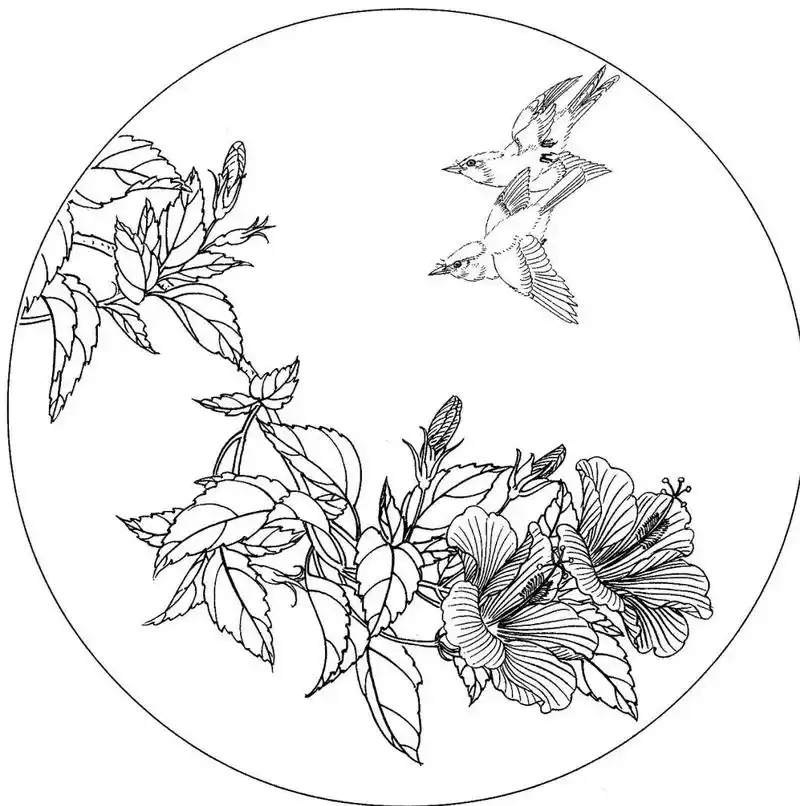 40幅工笔花鸟白描素材图,可要收藏好了!