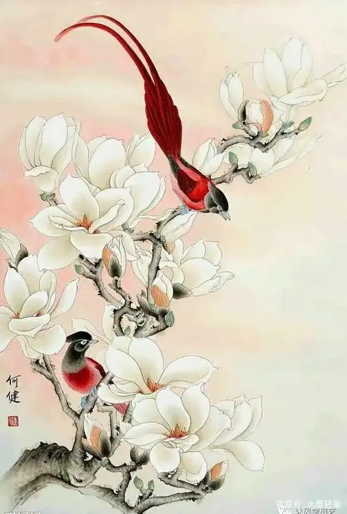 「欣赏」精品工笔玉兰图(50幅)