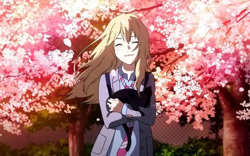 【amv/四月是你的谎言】四月来了,没有你的.四月