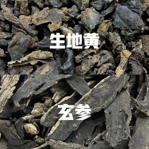 清热凉血,养阴生津10—15g2,玄参甘,苦,咸,寒.