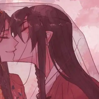 花城谢怜情头(找不到另一半看专辑)