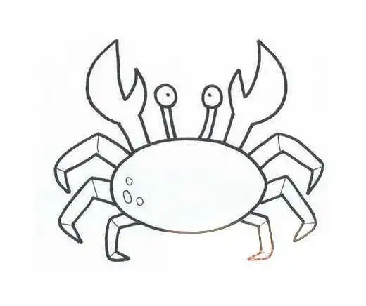螃蟹的画法图片螃蟹的种类很多,我国蟹的种类就有600种左右,有梭子蟹